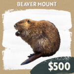 CC Sponsorship - Beaver Mount