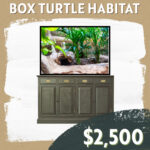 CC Sponsorship - Box Turtle Habitat