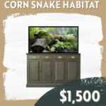 CC Sponsorship - Corn Snake Habitat