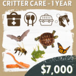 CC Sponsorship - Critter Care