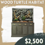 CC Sponsorship - Wood Turtle Habitat
