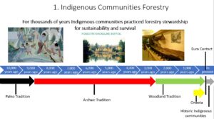 Click on the image to view the Indigenous Communities Forestry Exhibit 
